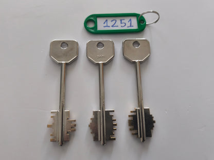 1251 JUEGO 3 LLAVES PUERTA BANCO ACORAZADAS