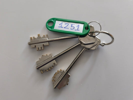 1251 JUEGO 3 LLAVES PUERTA BANCO ACORAZADAS