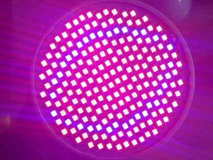 LOTE 1019 LED ILUMINACIÓN CULTIVO 80W 230V